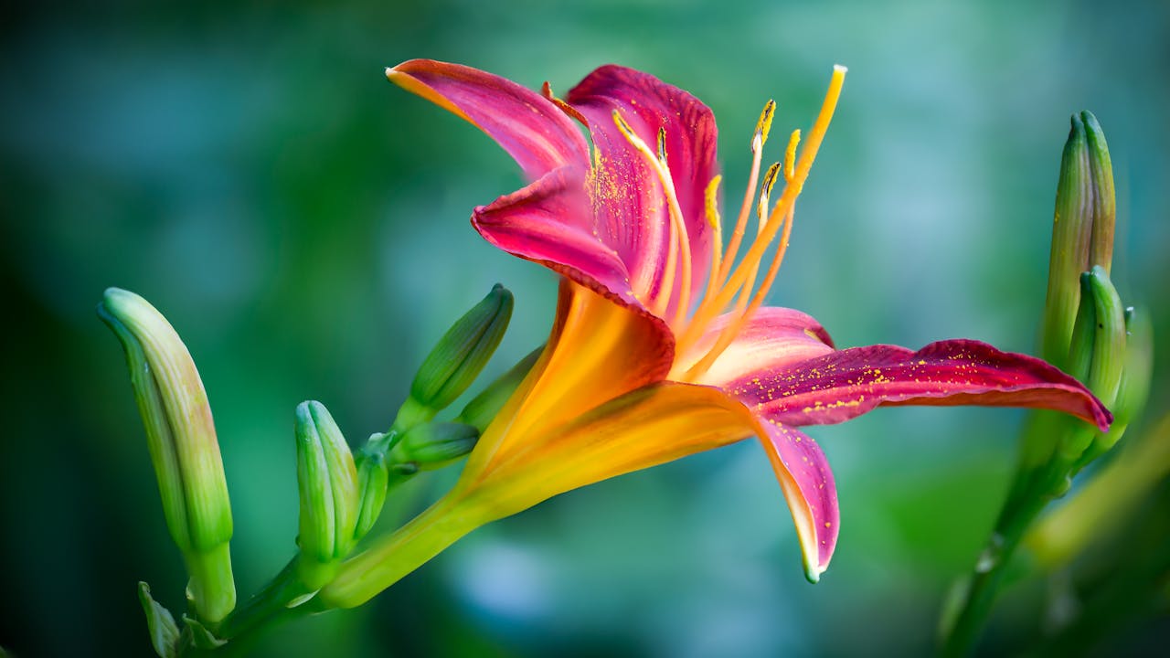 Lessons I Learned From Sitting in Silence Daily